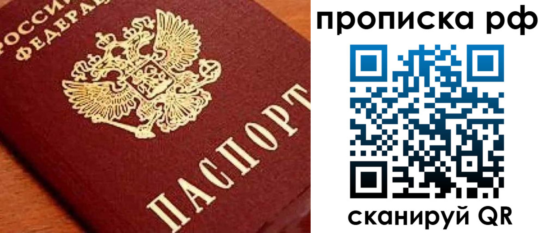 прописка законно в Камышлове